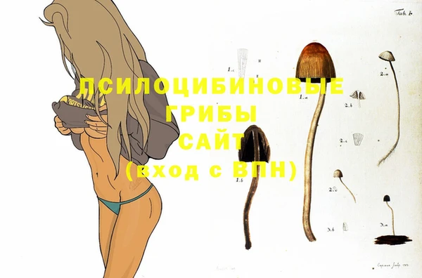 скорость Алзамай