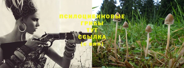 а пвп мука Алексин