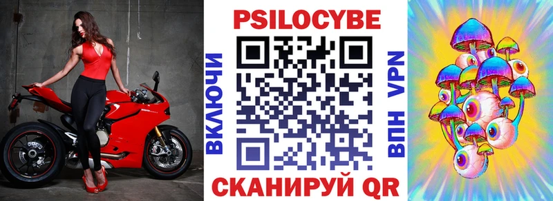 Псилоцибиновые грибы Psilocybe  kraken маркетплейс  Жирновск  закладка 